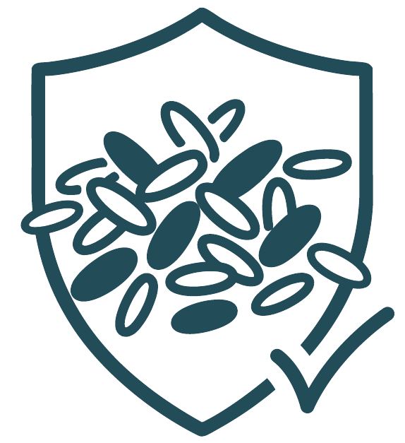 Jedna chuť, více možností